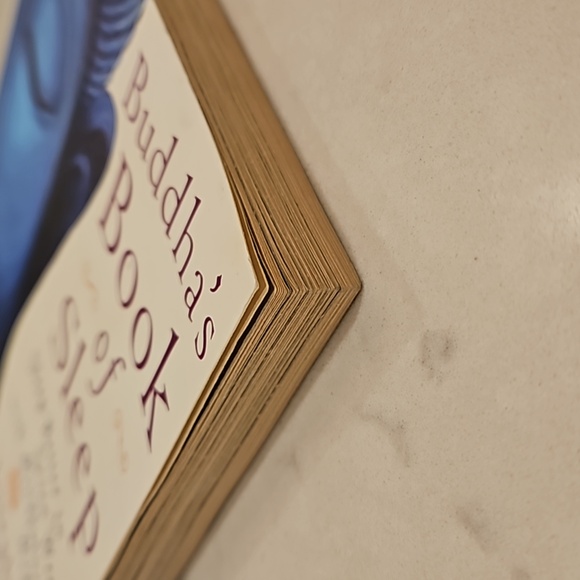 Buddha's Book Of Sleep by Joseph Emet - Picture 6 of 9